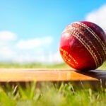 Lotus365 Online Platform for Cricket ID